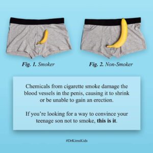 Smoker Vs non- Smoker | Wellington Point Dental dentist kallangur-buderim-wellington point-